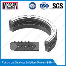 Es Serie Hydraulikzylinder Stabdichtung / V Dichtungen / Chevron Seal